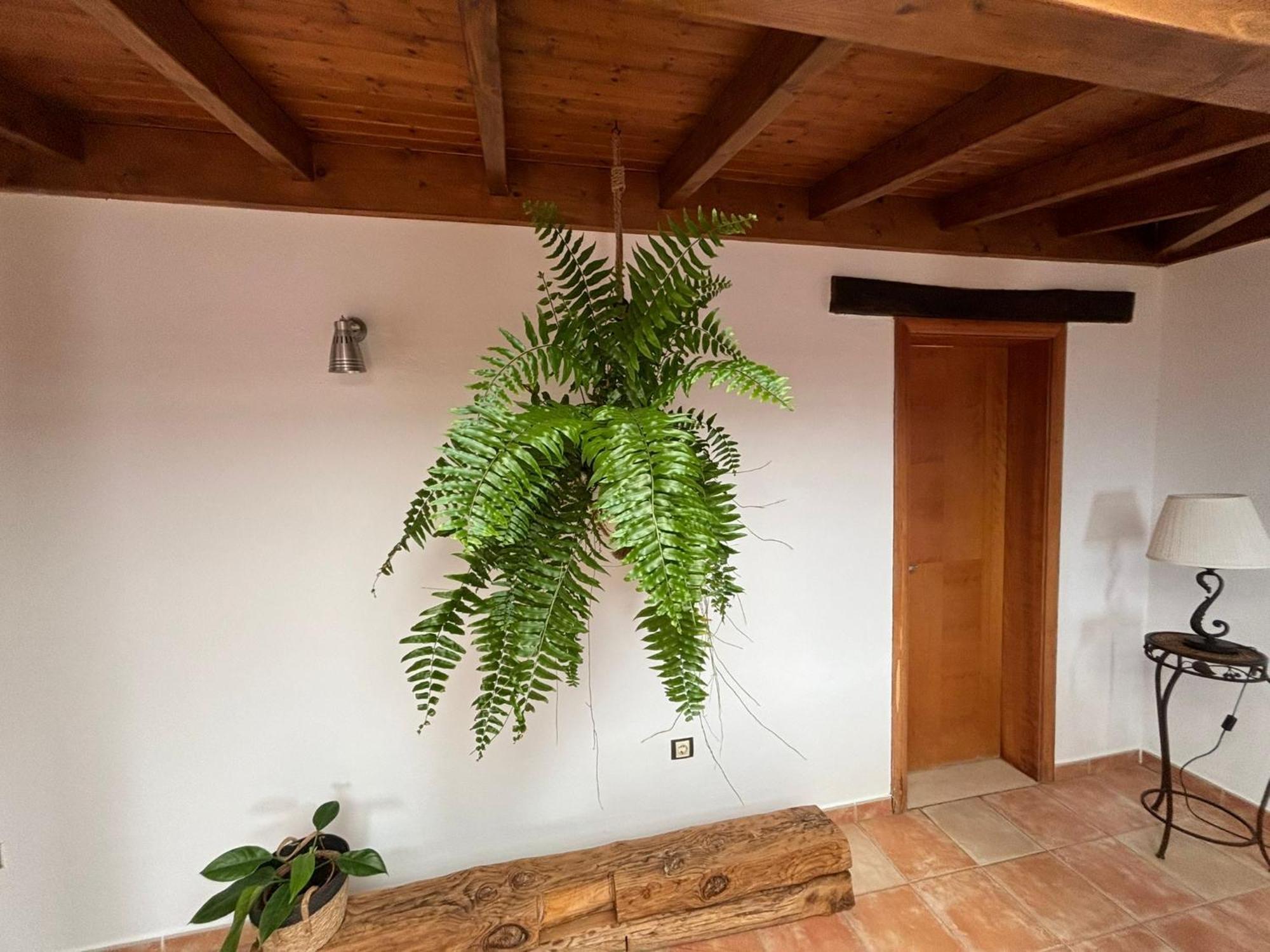 Villa Casagrande Sunset Fuerteventura Pájara Zewnętrze zdjęcie